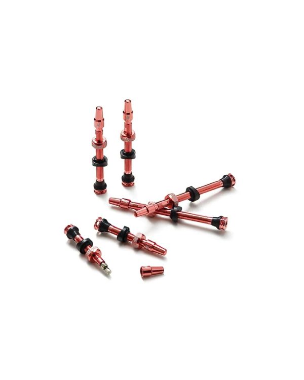 Ridenow Tubeless valve kit 1 DeNoiseAI standard min